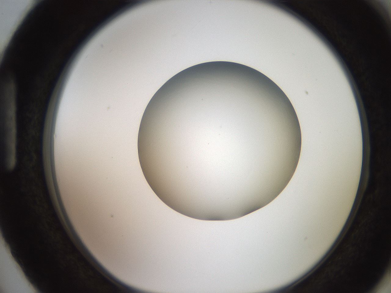 folderID258_plateID2258_batchID10333_wellNum87_profileID1_d1_r156974_ef.jpg
