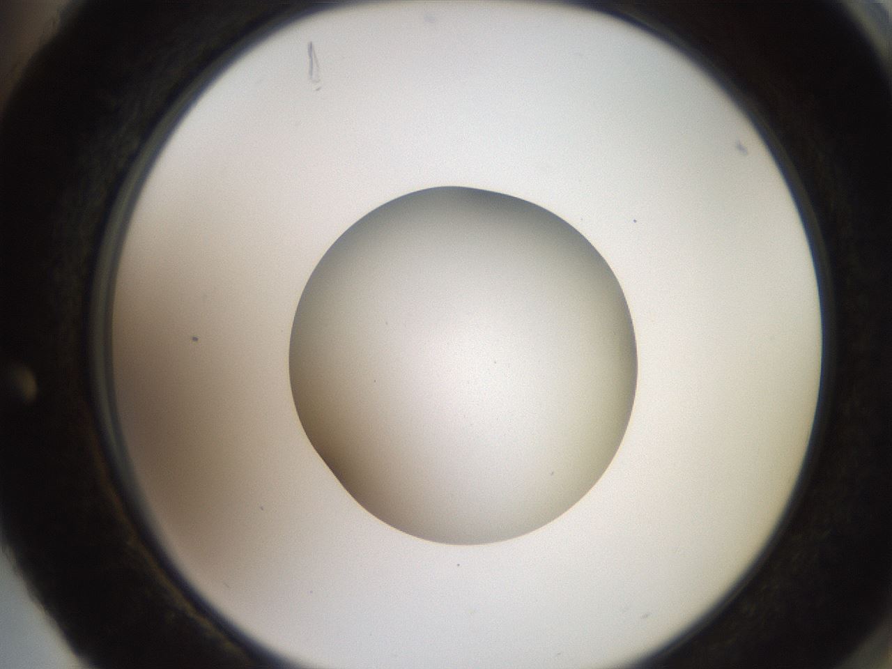 folderID258_plateID2258_batchID10333_wellNum88_profileID1_d2_r156977_ef.jpg