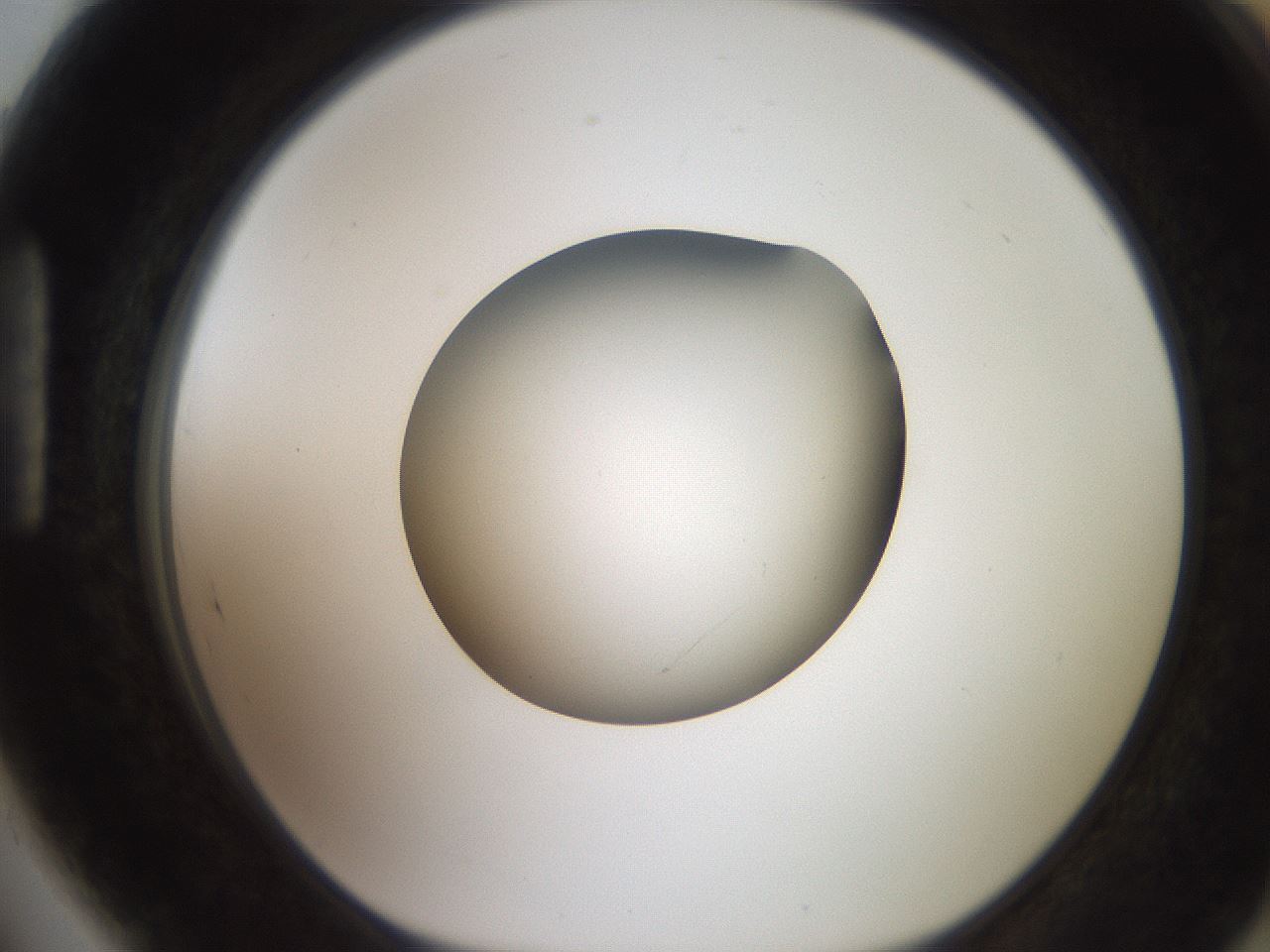 folderID258_plateID2258_batchID10333_wellNum89_profileID1_d1_r156978_ef.jpg