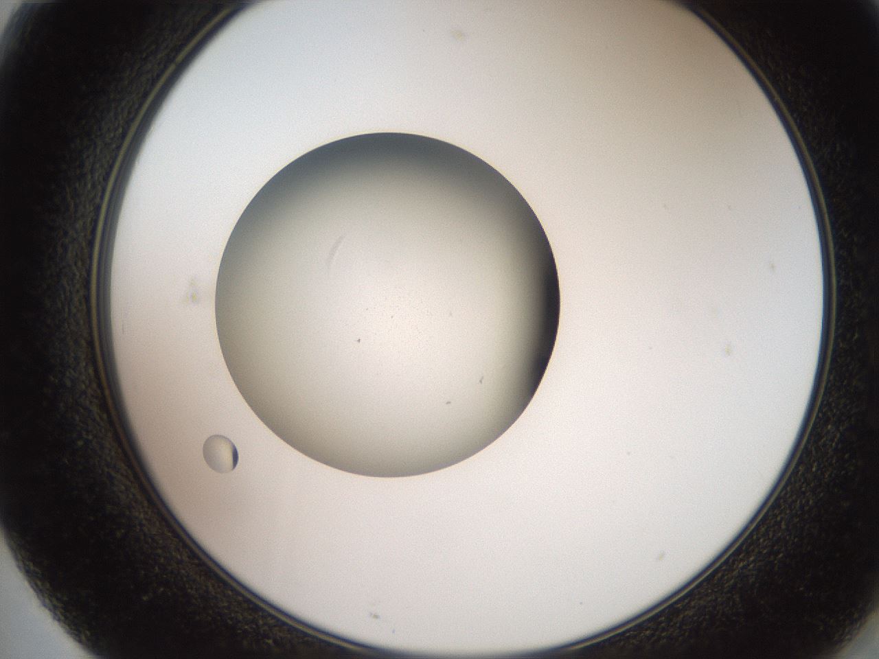 folderID258_plateID2258_batchID10333_wellNum71_profileID1_d2_r156943_ef.jpg