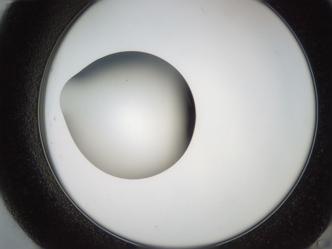 folderID258_plateID2258_batchID10333_wellNum84_profileID1_d2_r156969_ef.jpg