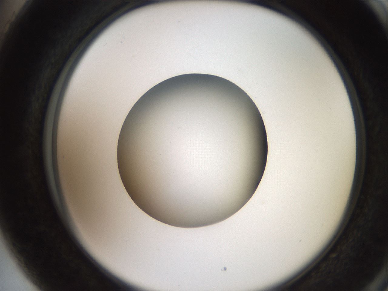 folderID258_plateID2258_batchID10333_wellNum89_profileID1_d2_r156979_ef.jpg
