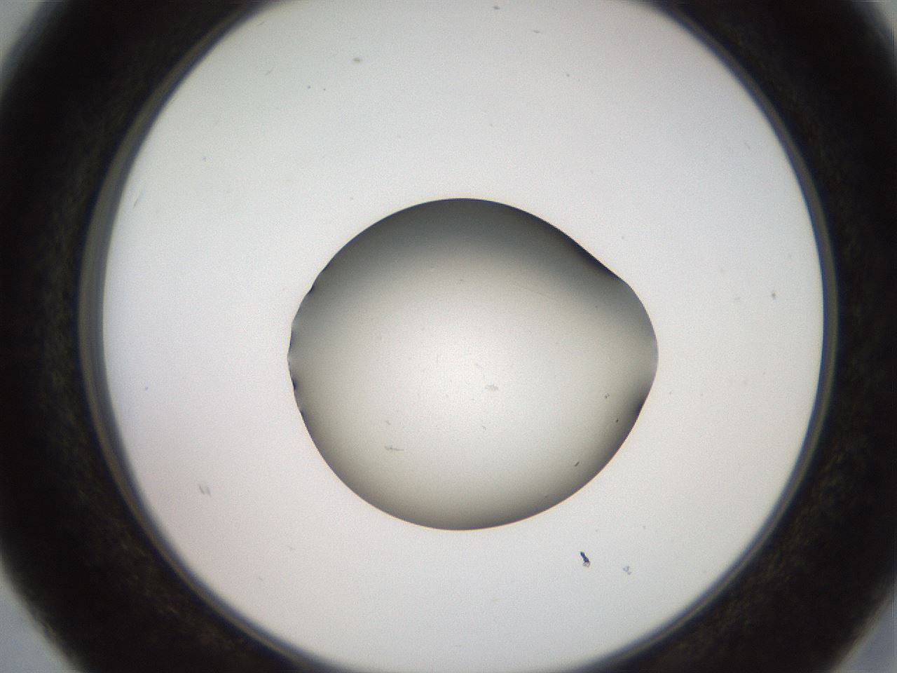 folderID259_plateID2259_batchID10335_wellNum15_profileID1_d2_r157215_ef.jpg