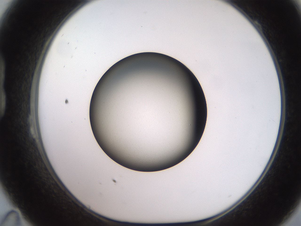folderID259_plateID2259_batchID10335_wellNum23_profileID1_d1_r157230_ef.jpg