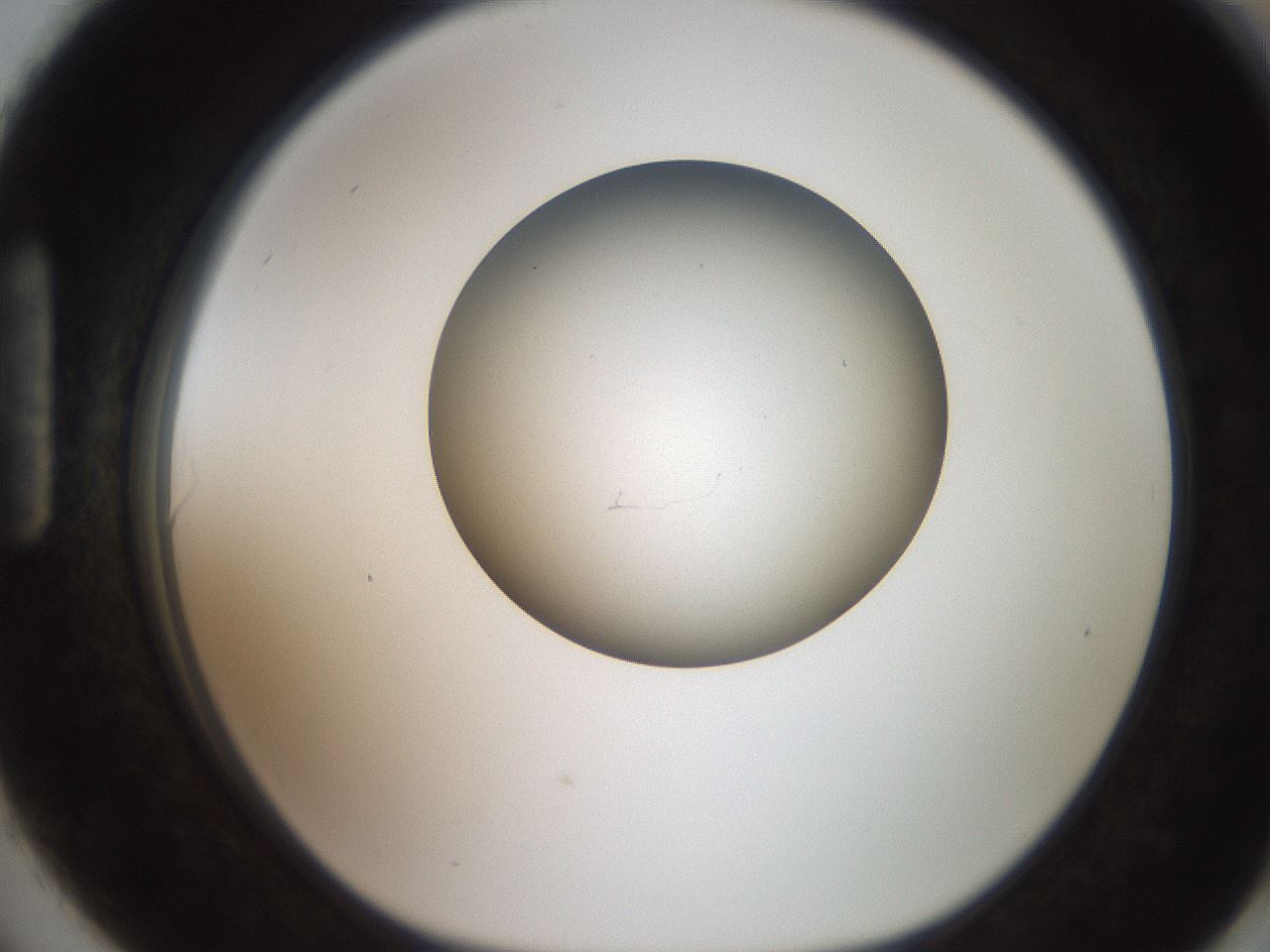 folderID258_plateID2258_batchID10333_wellNum90_profileID1_d1_r156980_ef.jpg