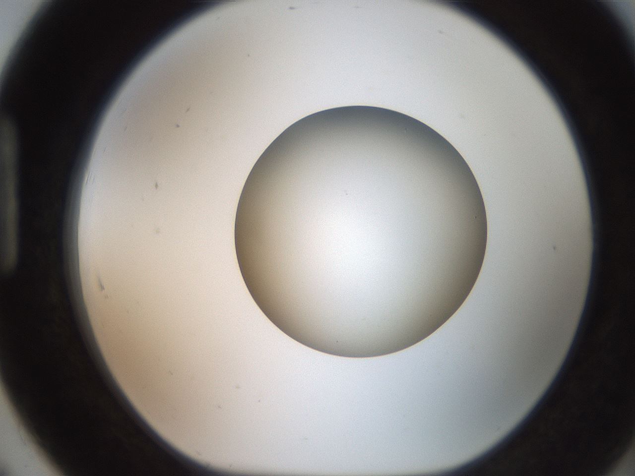 folderID258_plateID2258_batchID10333_wellNum91_profileID1_d1_r156982_ef.jpg