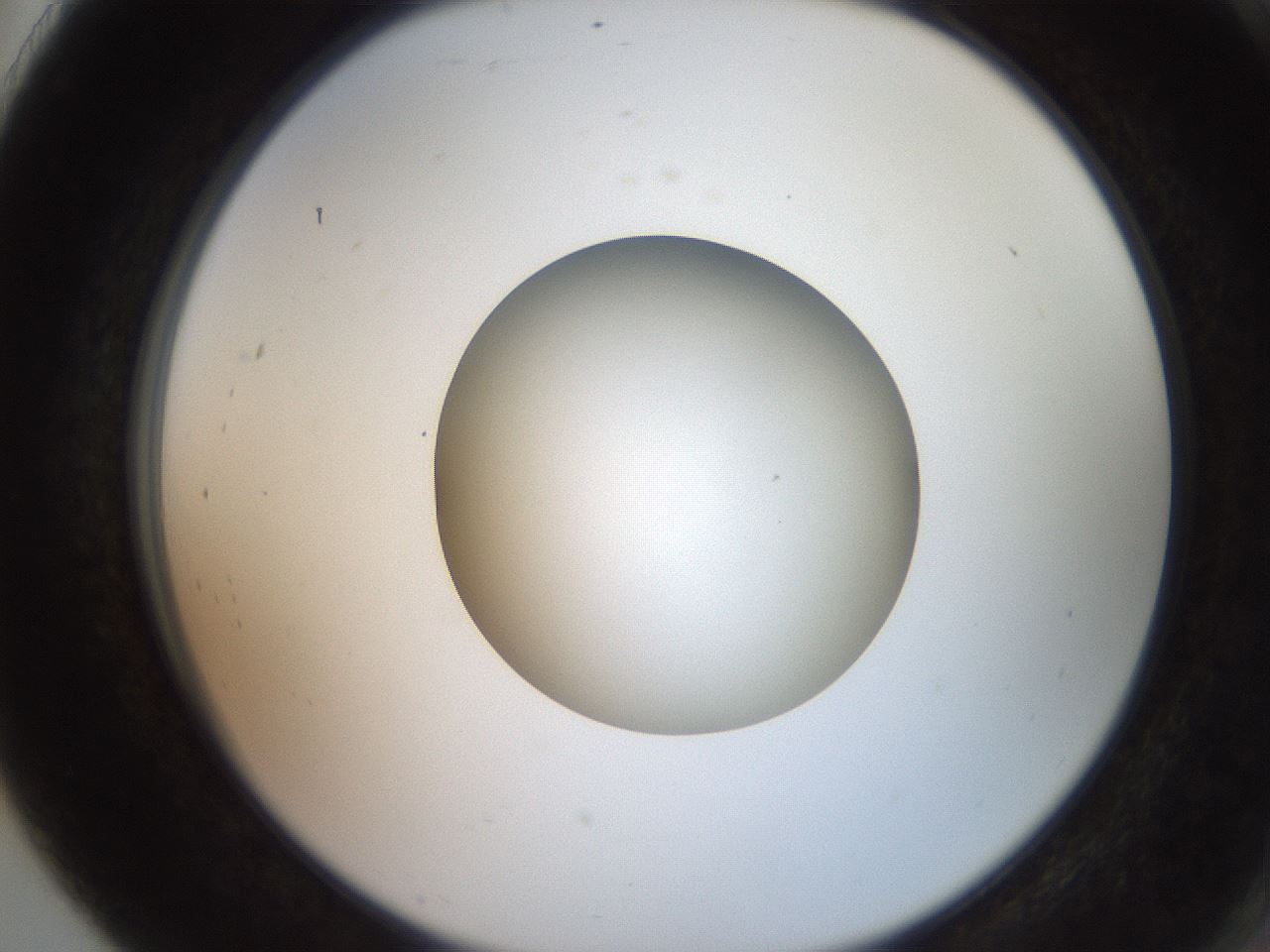 folderID258_plateID2258_batchID10333_wellNum91_profileID1_d2_r156983_ef.jpg