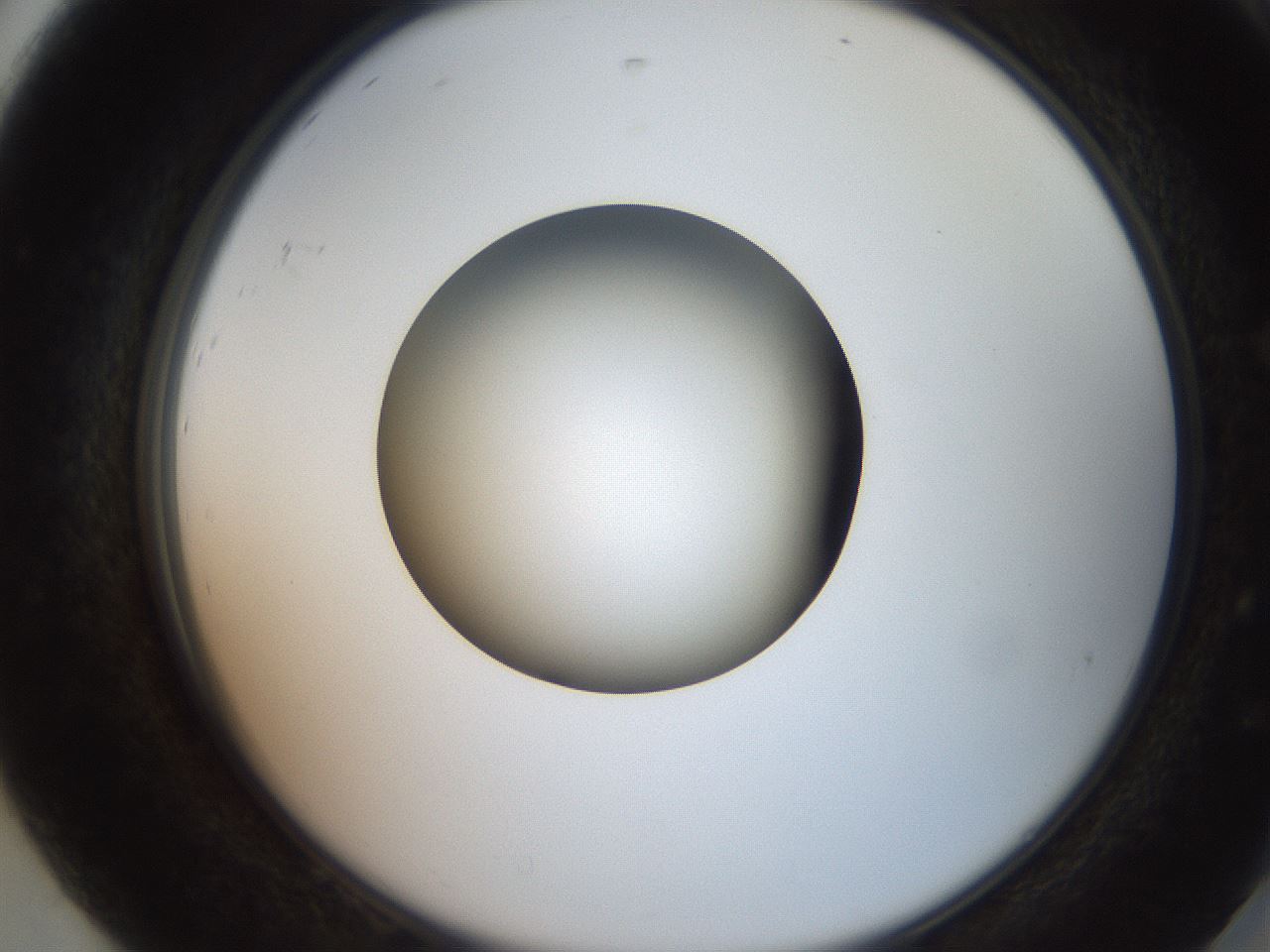 folderID258_plateID2258_batchID10333_wellNum92_profileID1_d2_r156985_ef.jpg
