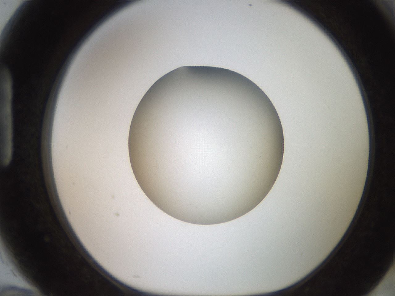 folderID258_plateID2258_batchID10333_wellNum94_profileID1_d1_r156988_ef.jpg