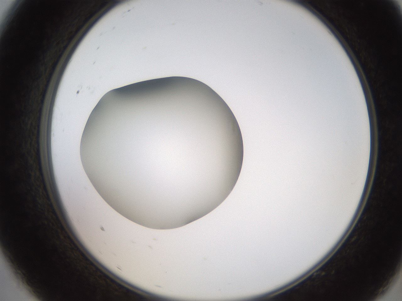 folderID258_plateID2258_batchID10333_wellNum9_profileID1_d2_r156819_ef.jpg