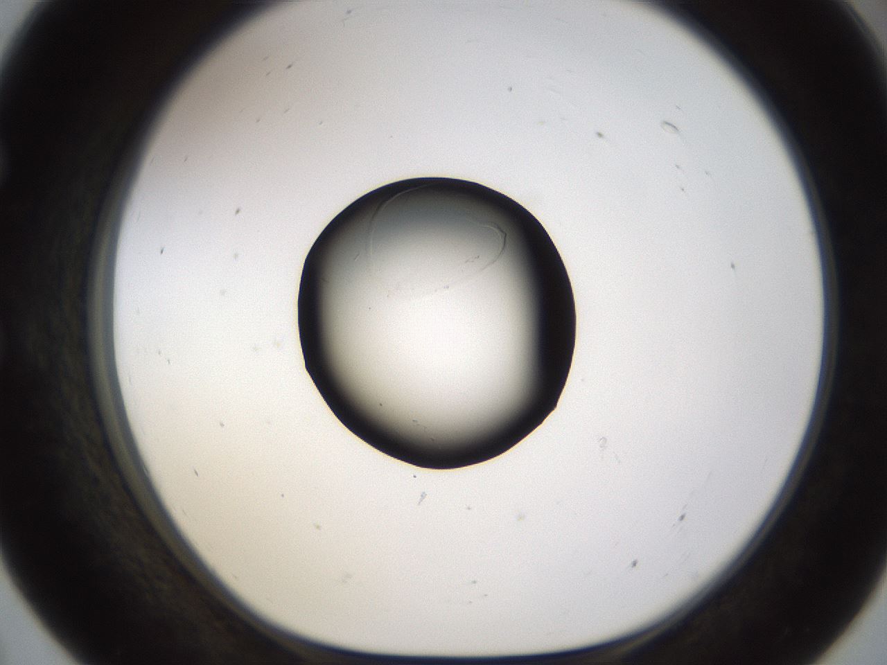 folderID259_plateID1259_batchID4130_wellNum55_profileID1_d1_r72814_ef.jpg