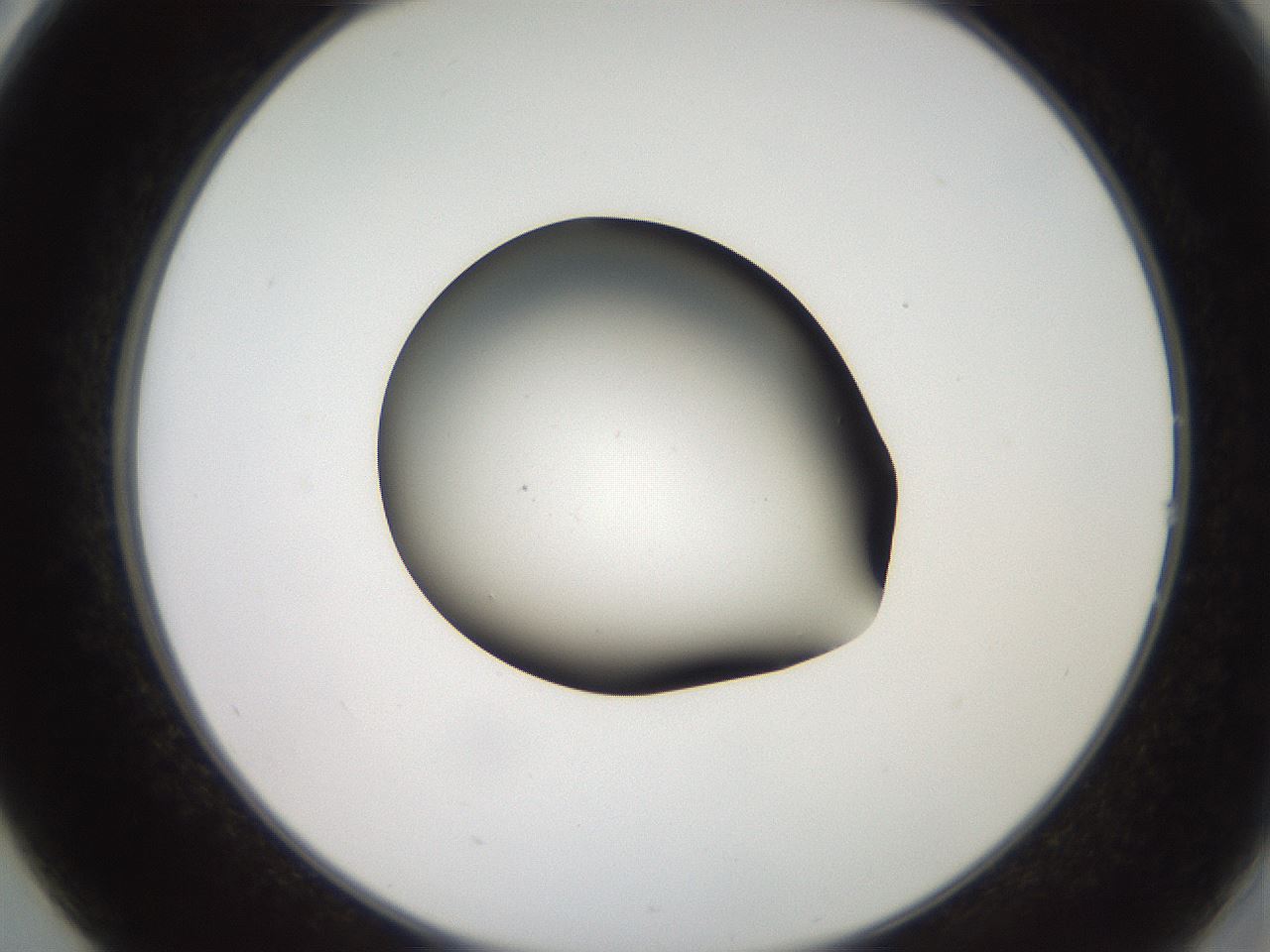 folderID259_plateID2259_batchID10335_wellNum14_profileID1_d2_r157213_ef.jpg