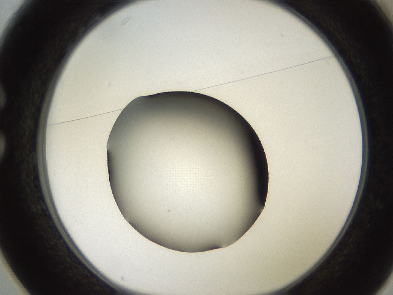 folderID259_plateID2259_batchID10335_wellNum25_profileID1_d1_r157234_ef.jpg