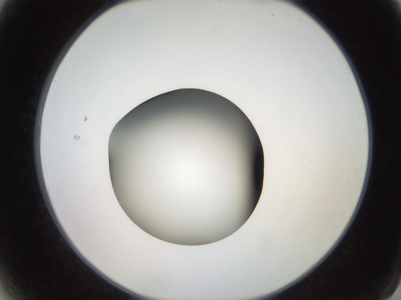 folderID259_plateID2259_batchID10335_wellNum2_profileID1_d2_r157189_ef.jpg