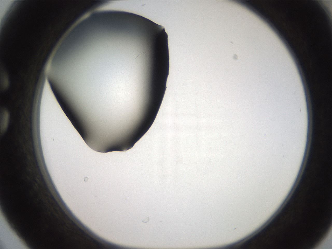folderID259_plateID2259_batchID10335_wellNum30_profileID1_d1_r157244_ef.jpg