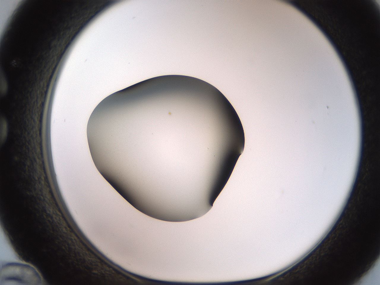 folderID259_plateID2259_batchID10335_wellNum36_profileID1_d1_r157256_ef.jpg