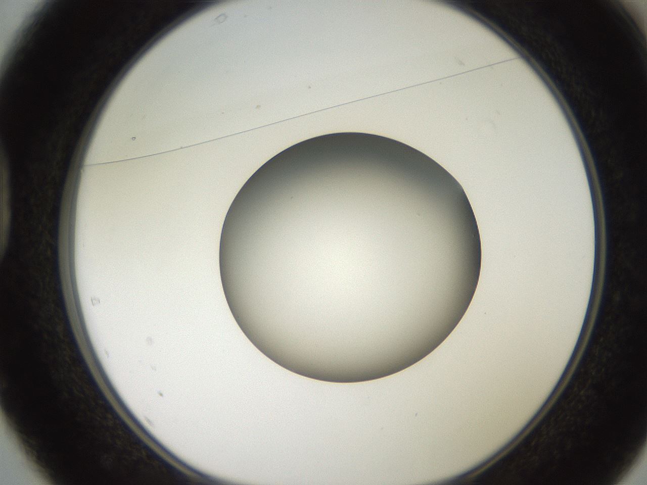 folderID259_plateID2259_batchID10335_wellNum37_profileID1_d1_r157258_ef.jpg