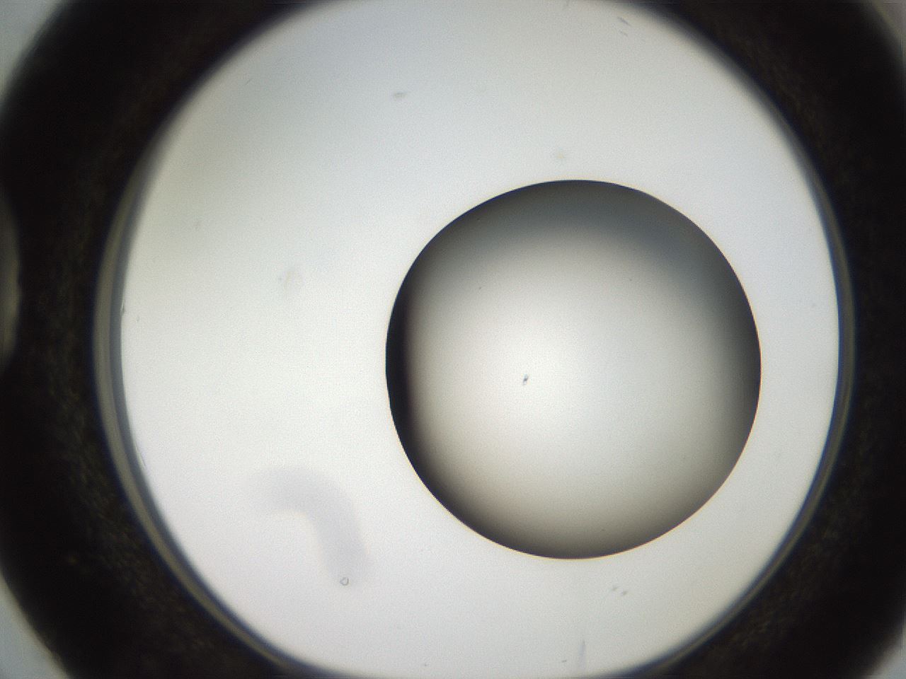 folderID259_plateID2259_batchID10335_wellNum38_profileID1_d1_r157260_ef.jpg