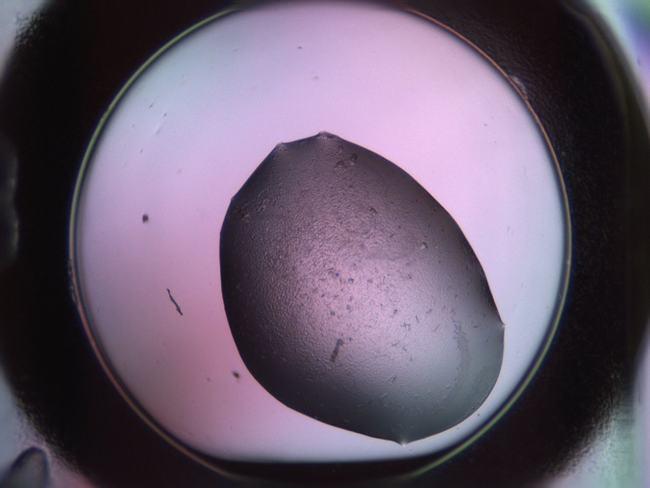 02ja_B11_ImagerDefaults_7.jpg