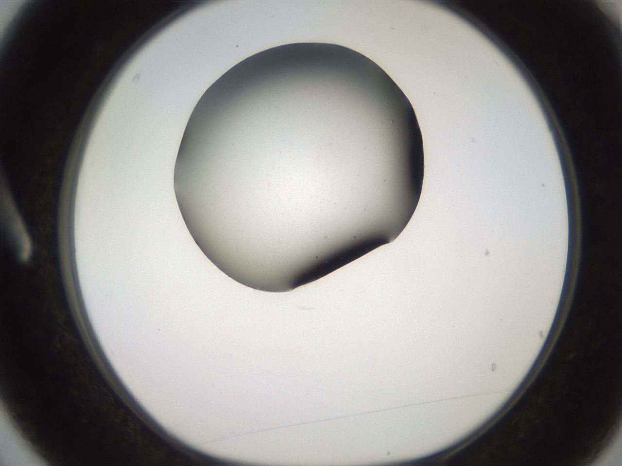 folderID259_plateID2259_batchID10335_wellNum3_profileID1_d1_r157190_ef.jpg