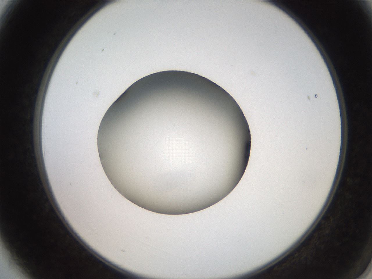 folderID259_plateID2259_batchID10335_wellNum3_profileID1_d2_r157191_ef.jpg