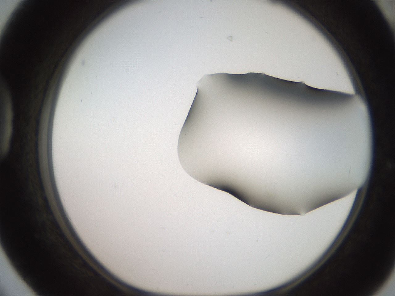 folderID259_plateID2259_batchID10335_wellNum42_profileID1_d1_r157268_ef.jpg