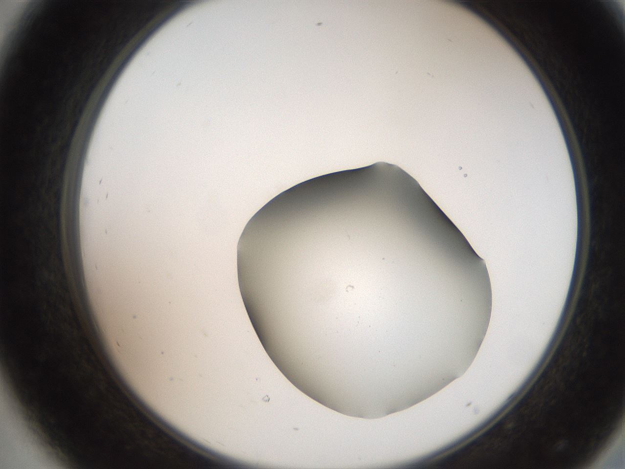 folderID259_plateID2259_batchID10335_wellNum44_profileID1_d2_r157273_ef.jpg