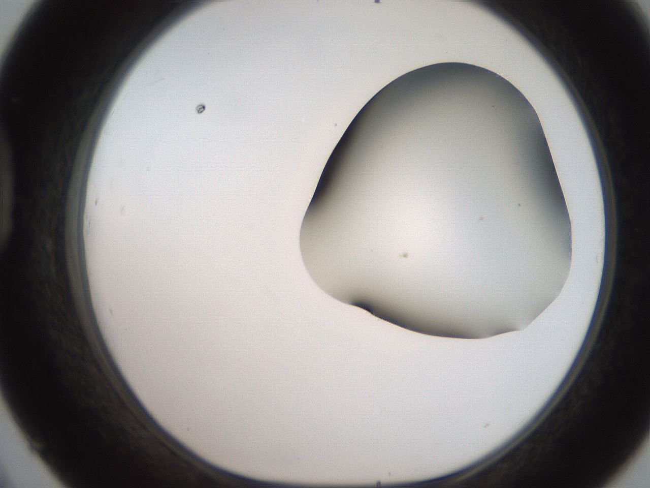 folderID259_plateID2259_batchID10335_wellNum45_profileID1_d1_r157274_ef.jpg
