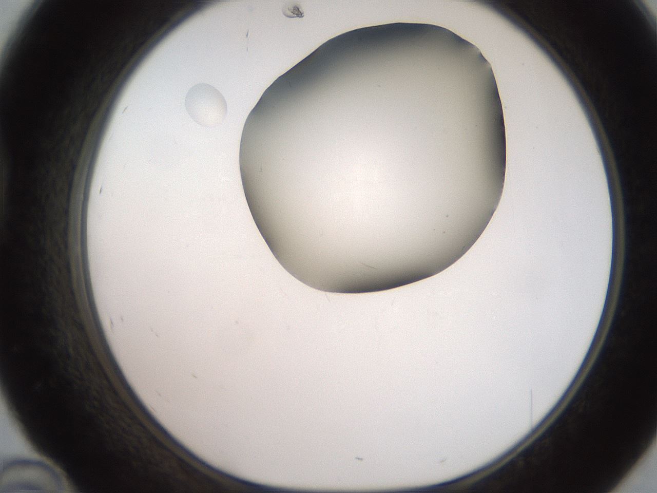folderID259_plateID2259_batchID10335_wellNum46_profileID1_d1_r157276_ef.jpg