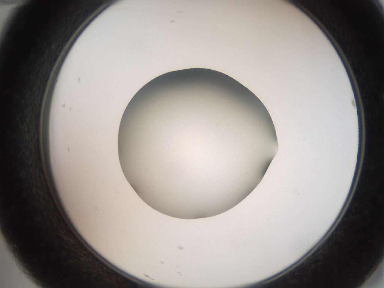 folderID259_plateID2259_batchID10335_wellNum46_profileID1_d2_r157277_ef.jpg