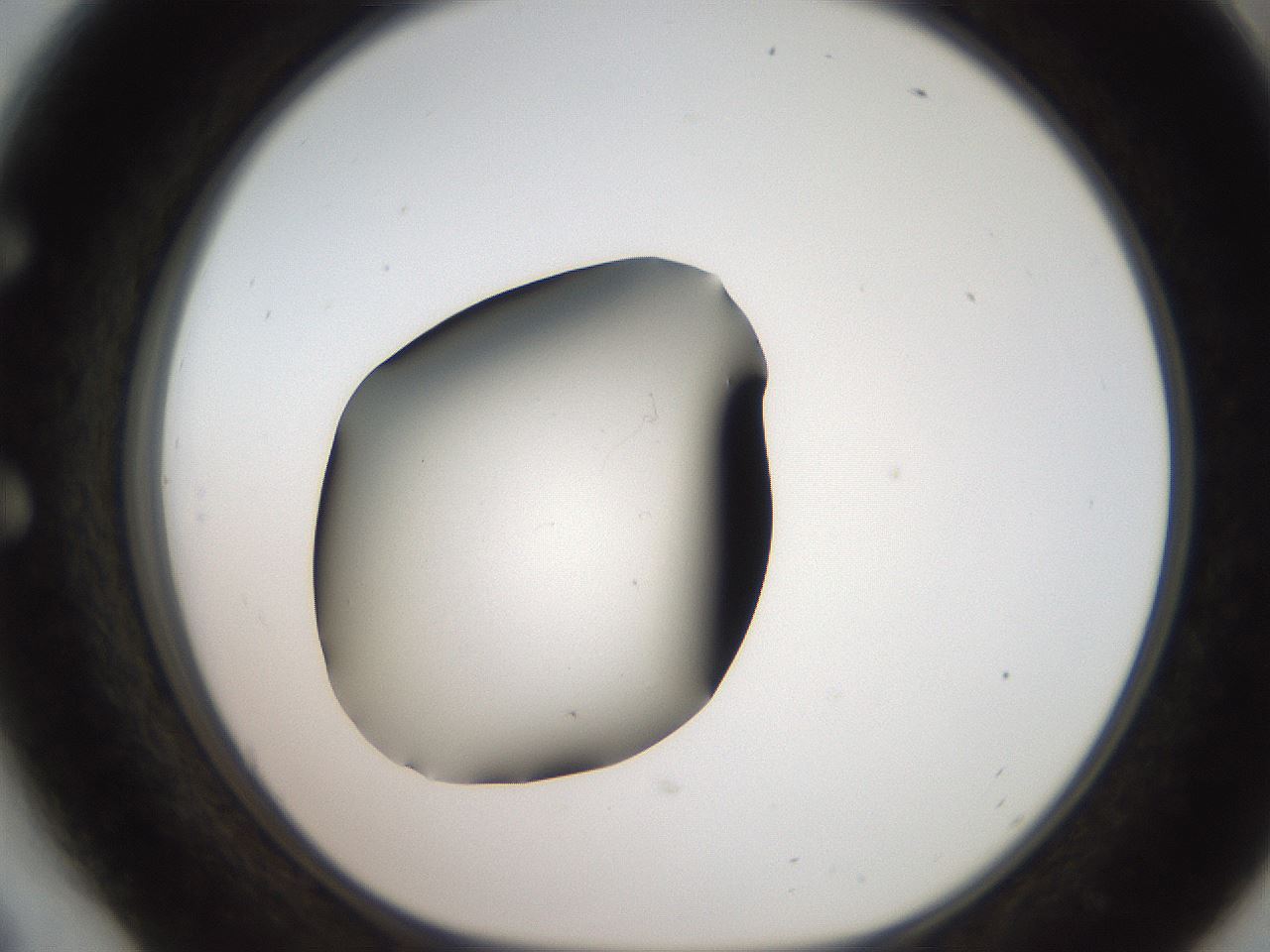 folderID259_plateID2259_batchID10335_wellNum54_profileID1_d1_r157292_ef.jpg