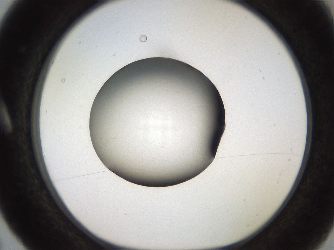 folderID259_plateID2259_batchID10335_wellNum5_profileID1_d1_r157194_ef.jpg