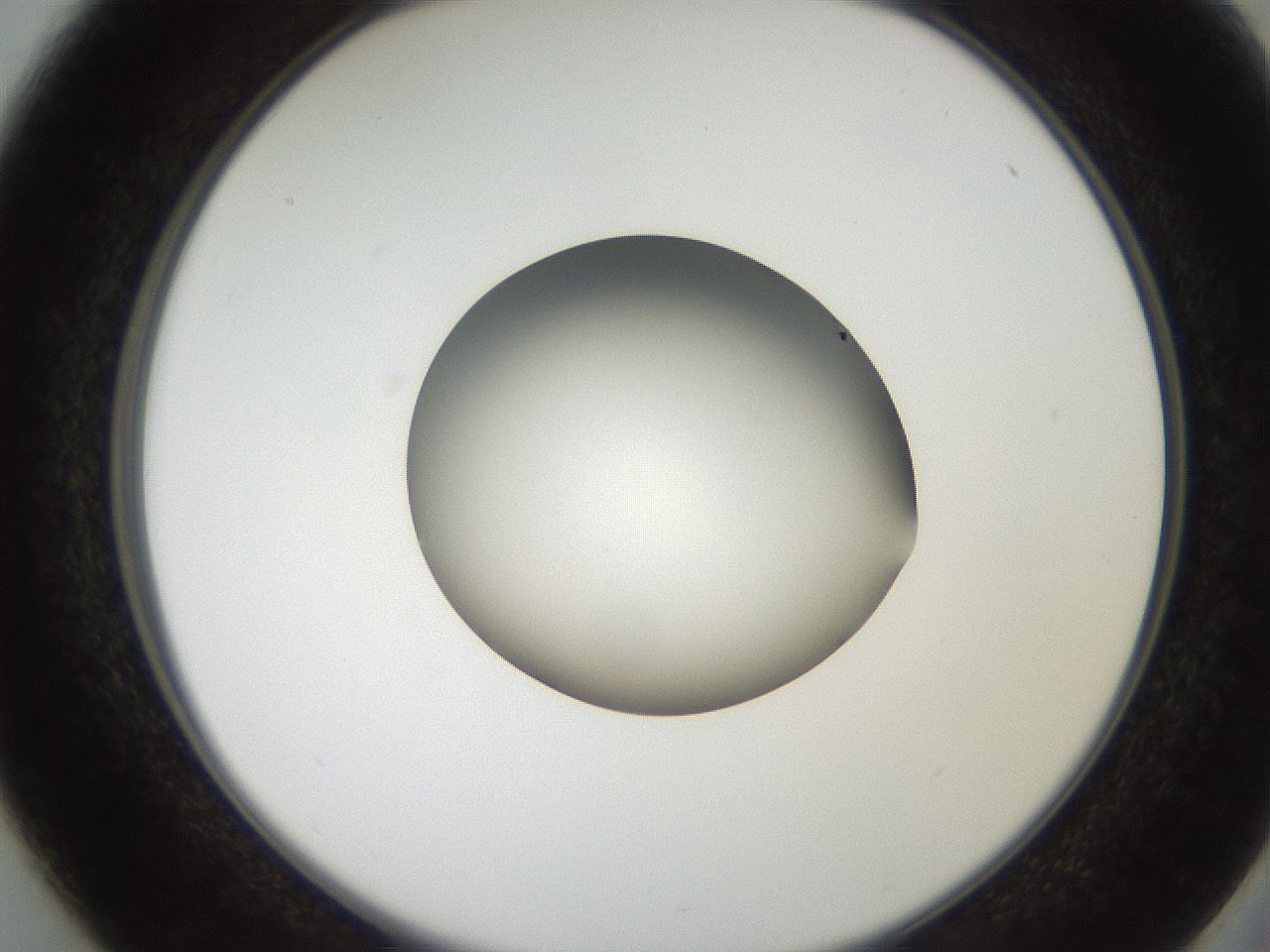 folderID259_plateID2259_batchID10335_wellNum37_profileID1_d2_r157259_ef.jpg