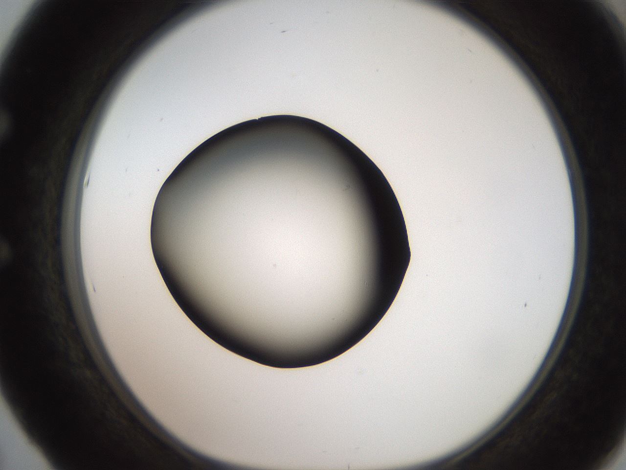 folderID259_plateID2259_batchID10335_wellNum53_profileID1_d1_r157290_ef.jpg