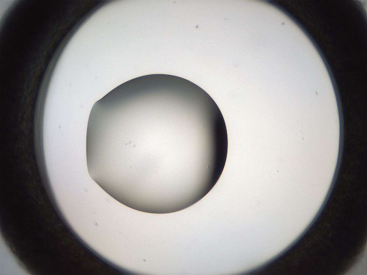 folderID259_plateID2259_batchID10335_wellNum5_profileID1_d2_r157195_ef.jpg