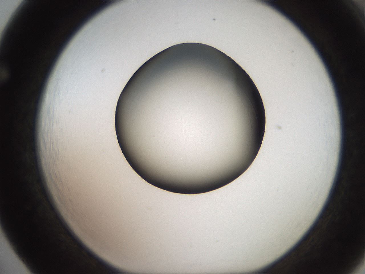 folderID259_plateID2259_batchID10335_wellNum65_profileID1_d1_r157314_ef.jpg