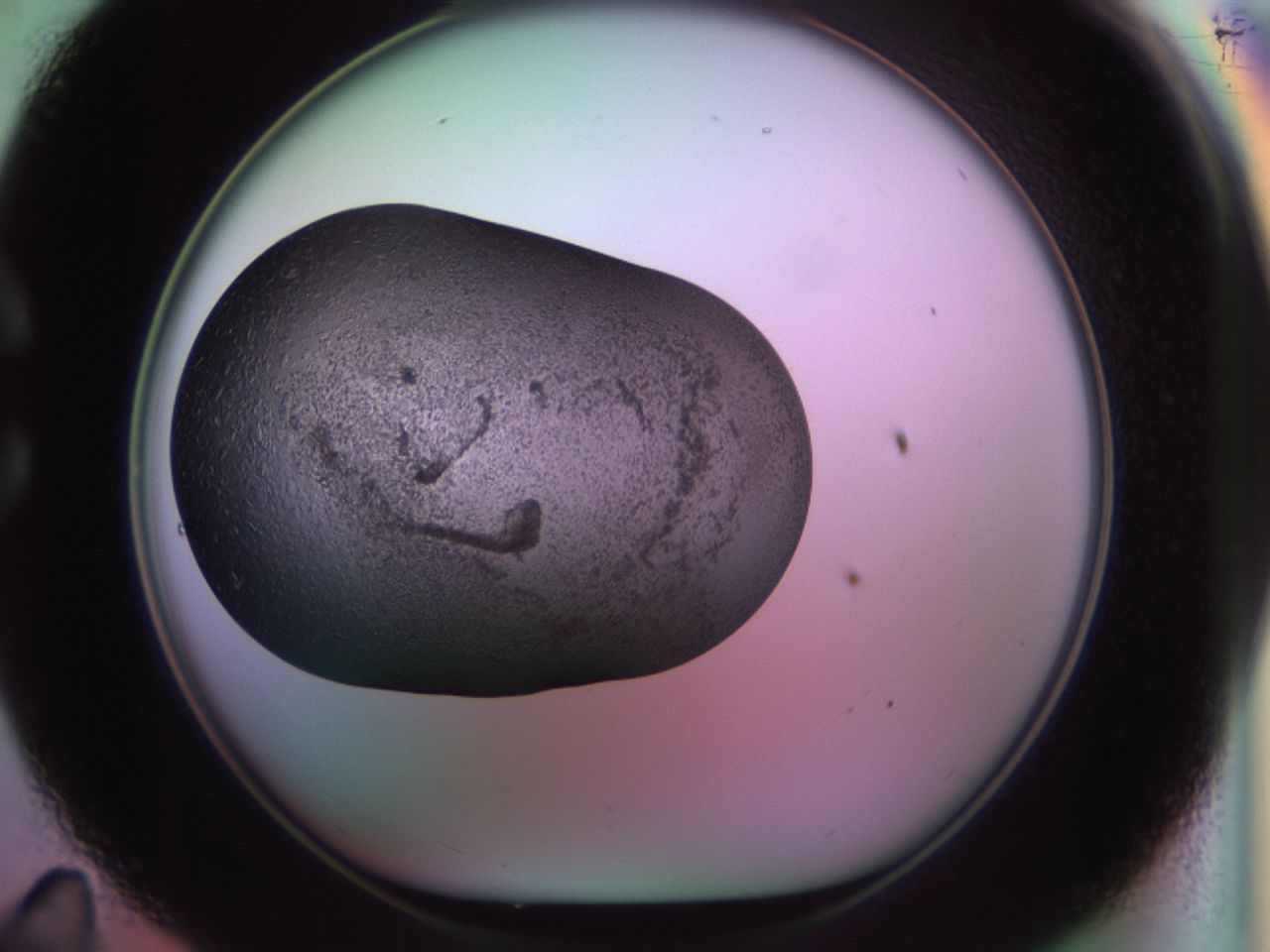 02ja_C11_ImagerDefaults_6.jpg