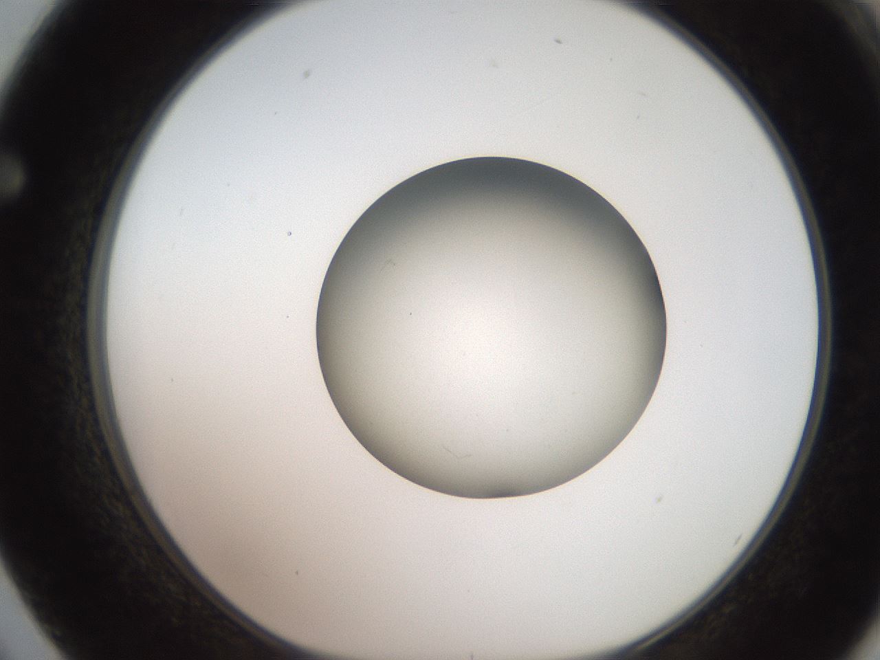 folderID259_plateID2259_batchID10335_wellNum62_profileID1_d1_r157308_ef.jpg