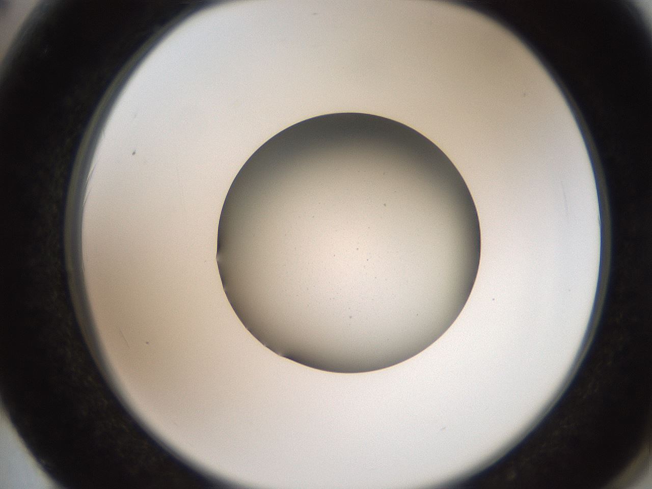 folderID259_plateID2259_batchID10335_wellNum62_profileID1_d2_r157309_ef.jpg