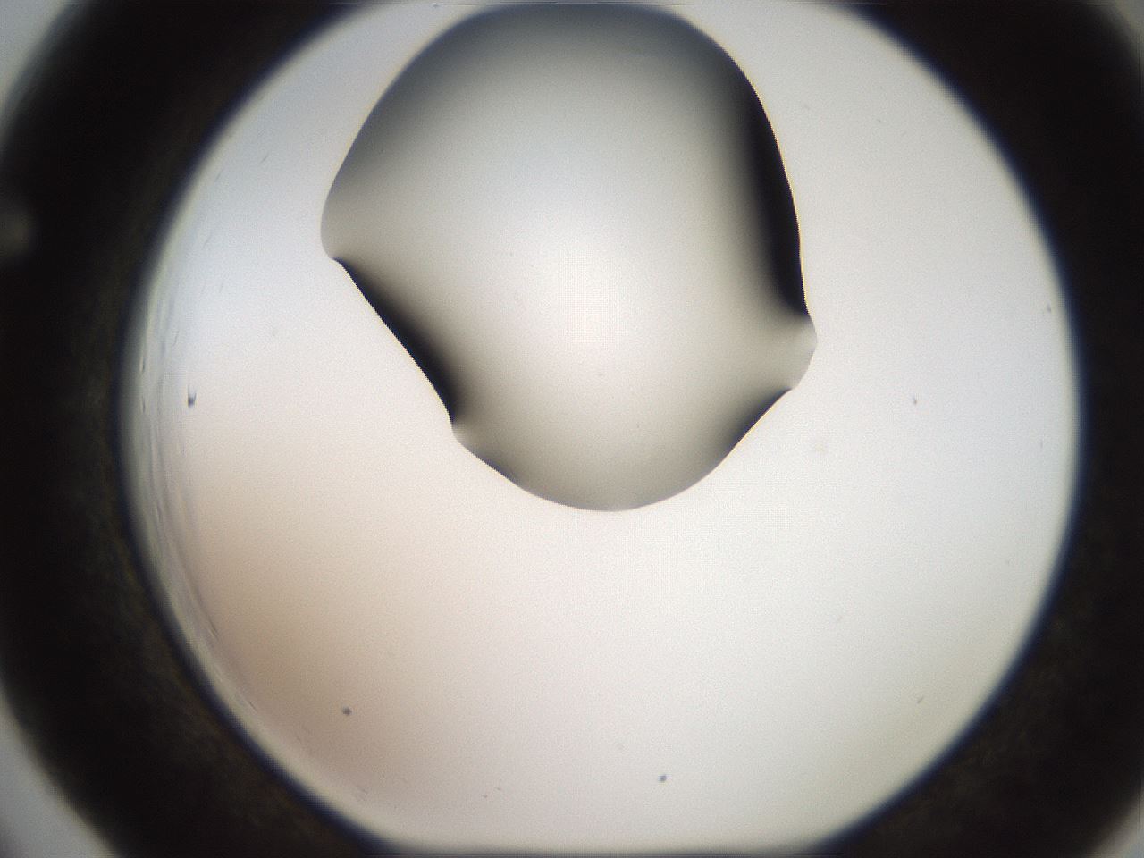 folderID259_plateID2259_batchID10335_wellNum66_profileID1_d1_r157316_ef.jpg