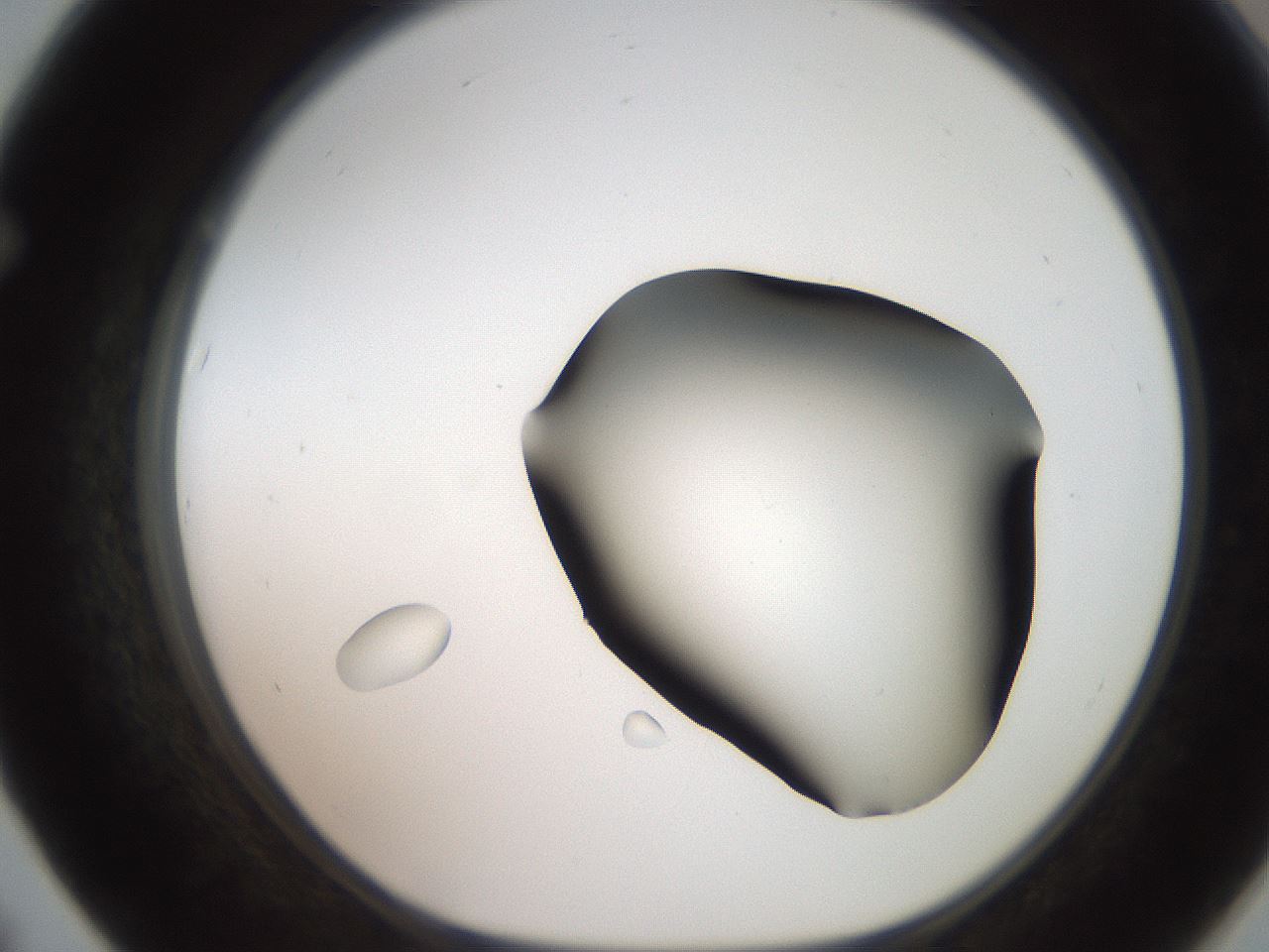 folderID259_plateID2259_batchID10335_wellNum67_profileID1_d1_r157318_ef.jpg