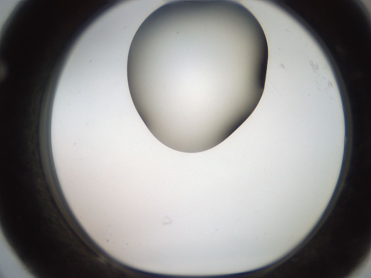 folderID259_plateID2259_batchID10335_wellNum68_profileID1_d1_r157320_ef.jpg
