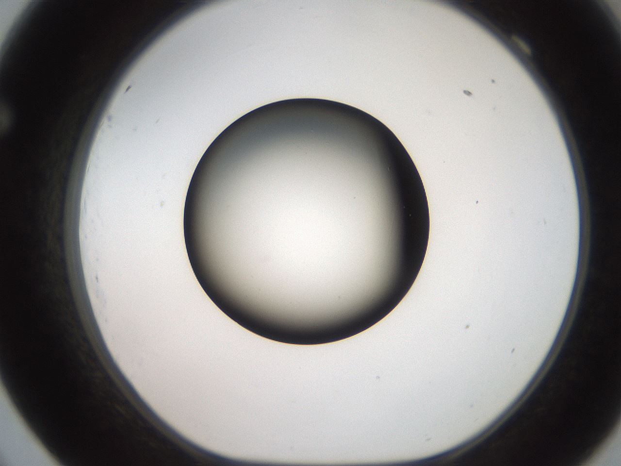 folderID259_plateID2259_batchID10335_wellNum69_profileID1_d1_r157322_ef.jpg