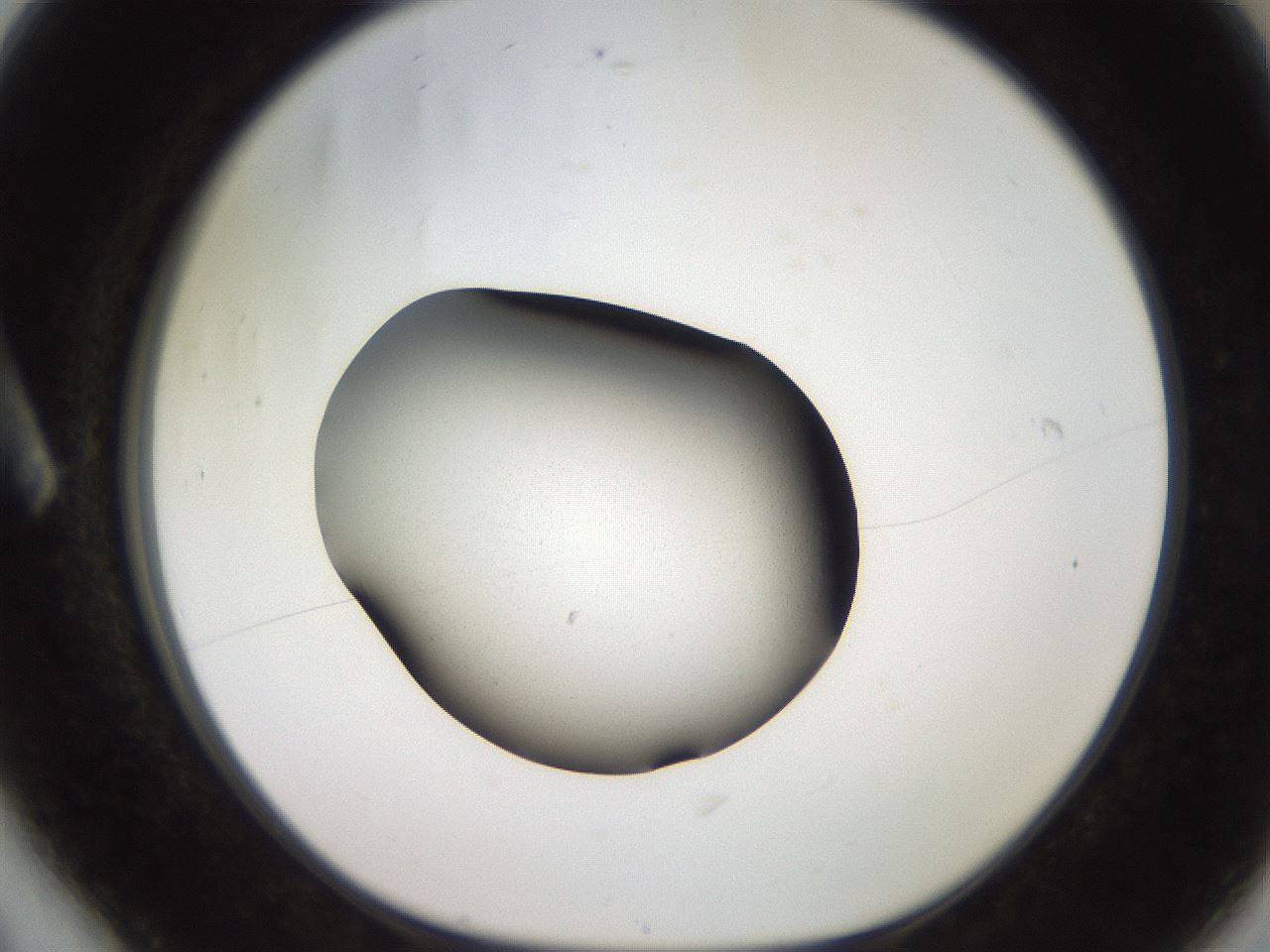 folderID259_plateID2259_batchID10335_wellNum6_profileID1_d1_r157196_ef.jpg