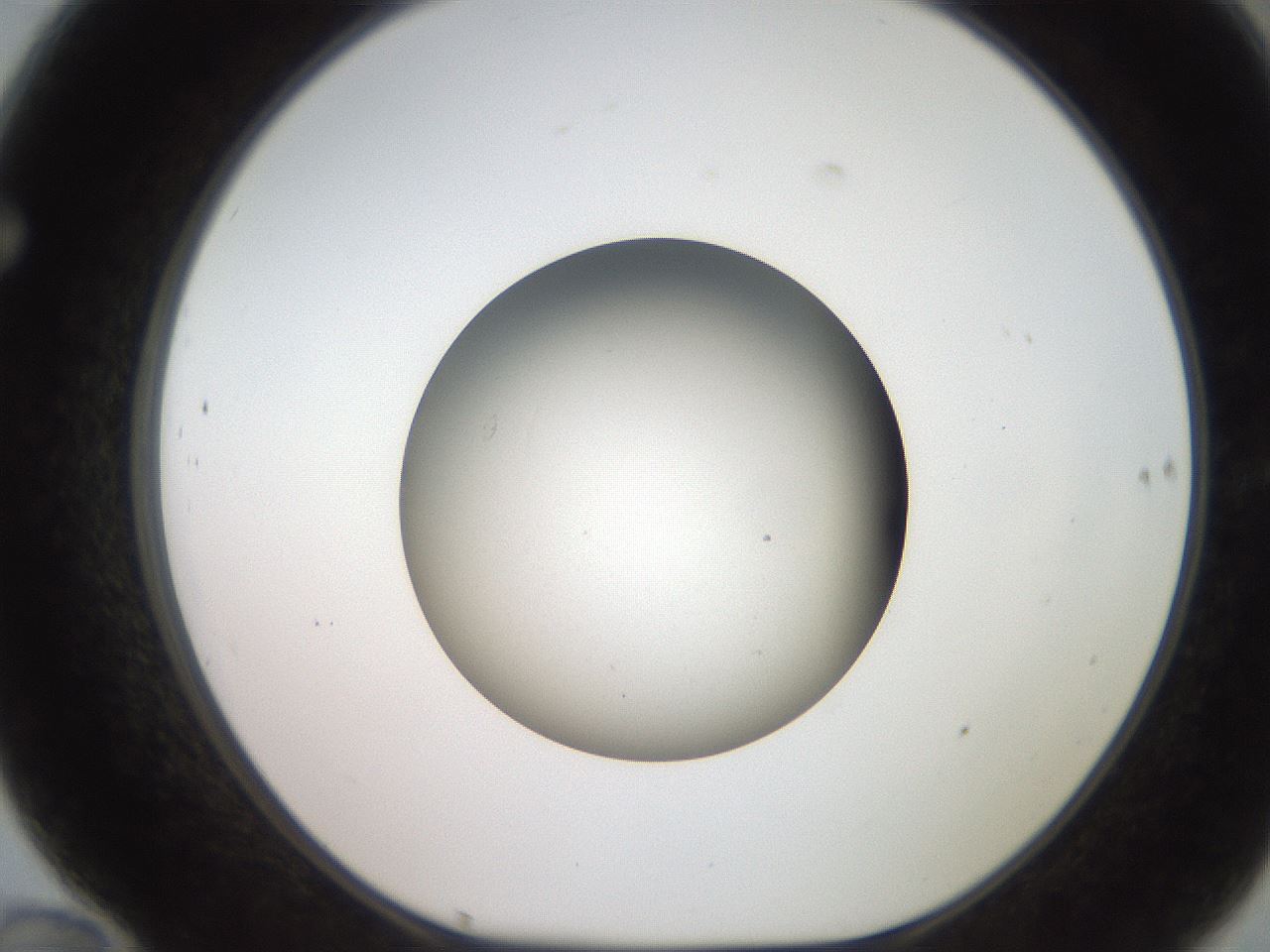 folderID259_plateID2259_batchID10335_wellNum70_profileID1_d1_r157324_ef.jpg
