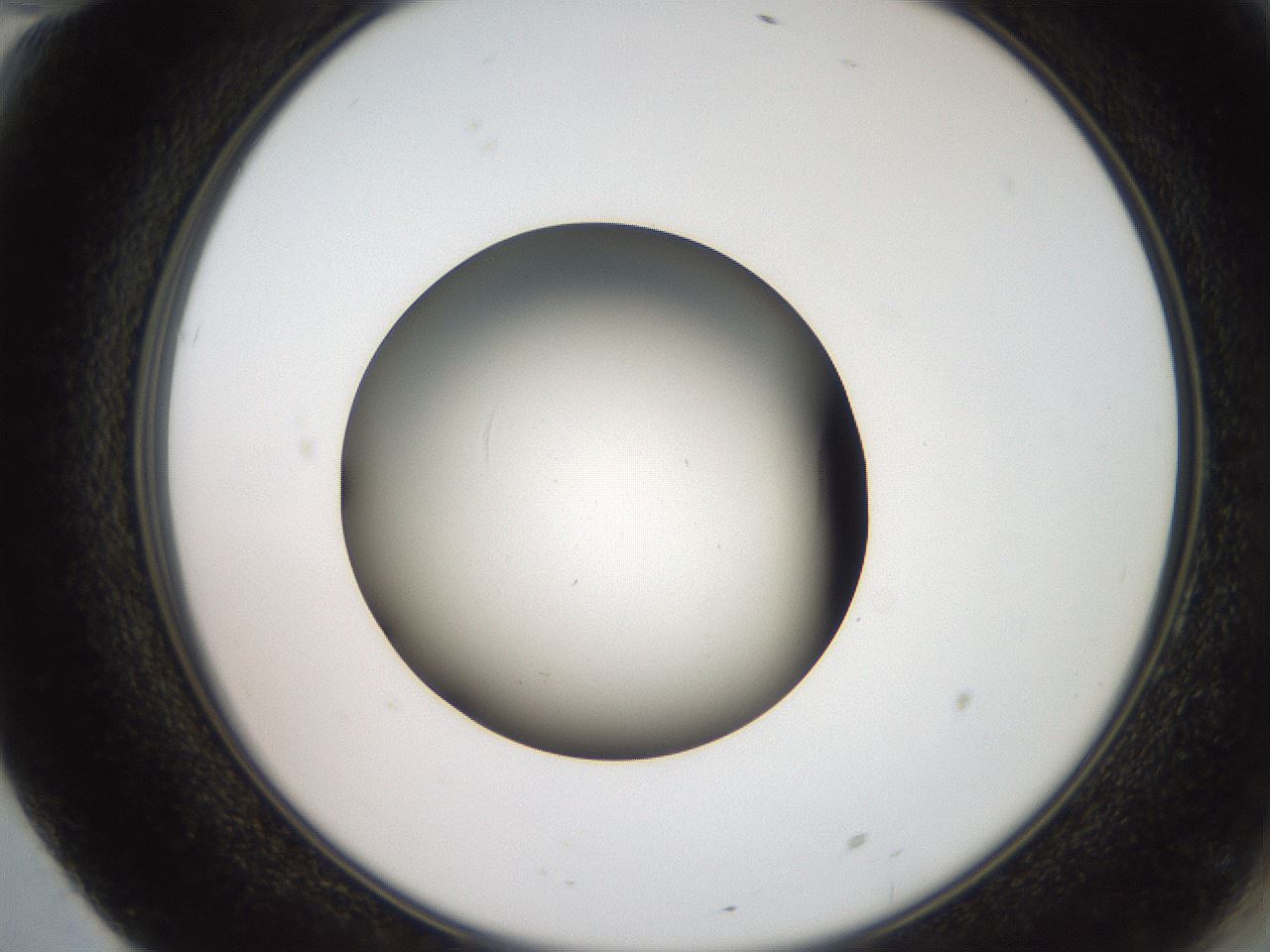 folderID259_plateID2259_batchID10335_wellNum70_profileID1_d2_r157325_ef.jpg