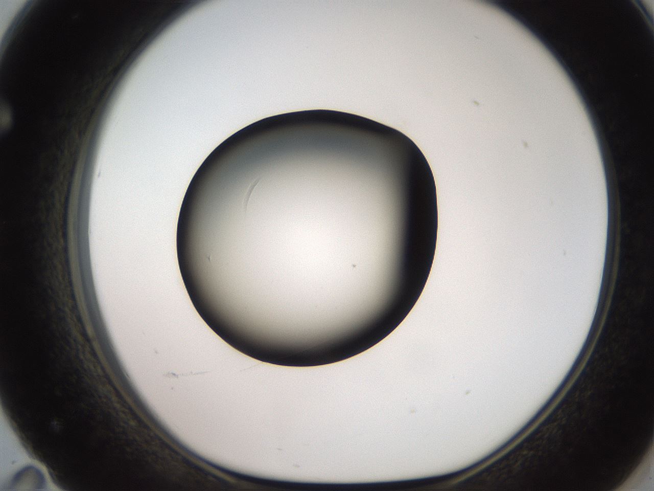 folderID259_plateID2259_batchID10335_wellNum71_profileID1_d1_r157326_ef.jpg