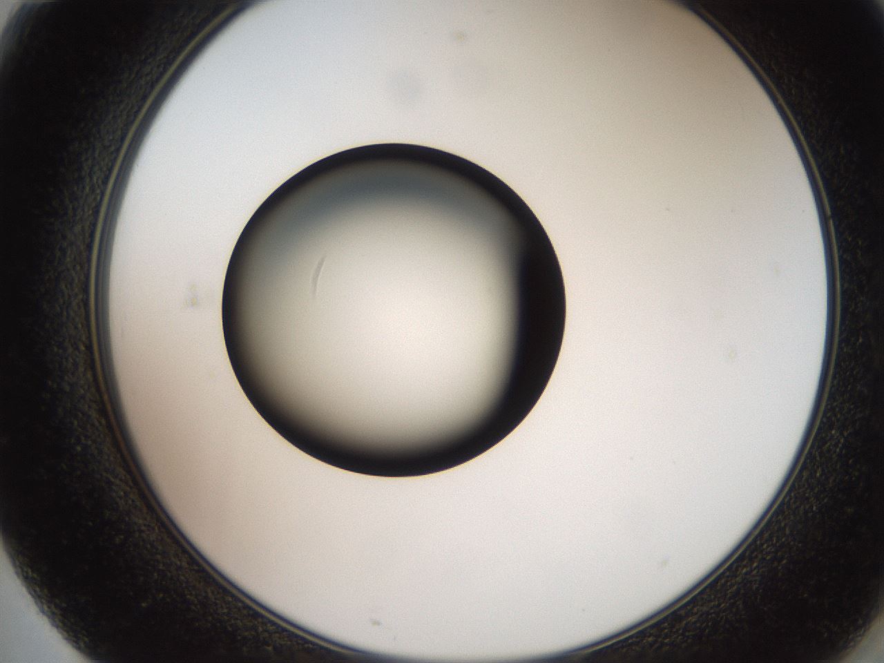 folderID259_plateID2259_batchID10335_wellNum71_profileID1_d2_r157327_ef.jpg