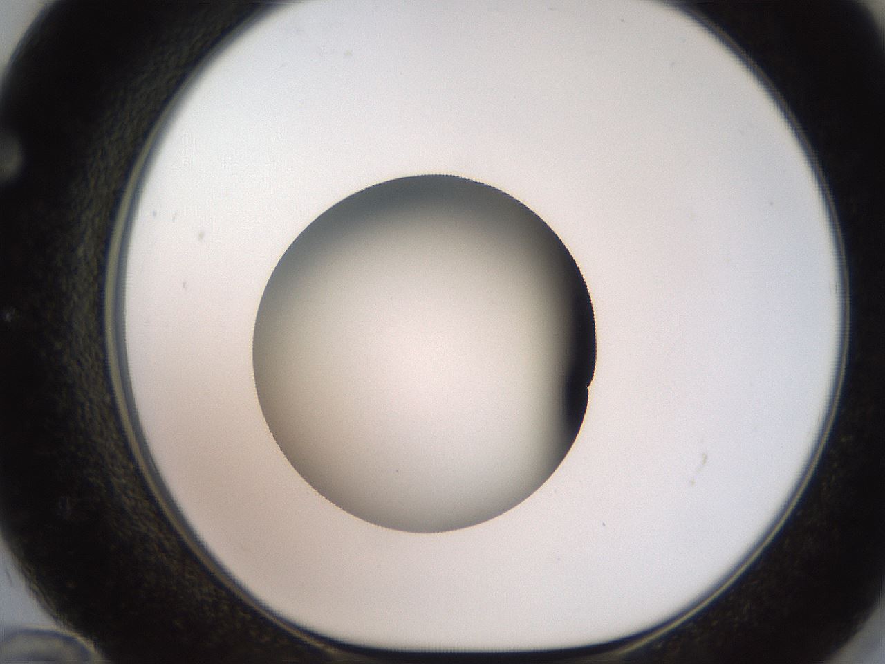 folderID259_plateID2259_batchID10335_wellNum72_profileID1_d1_r157328_ef.jpg