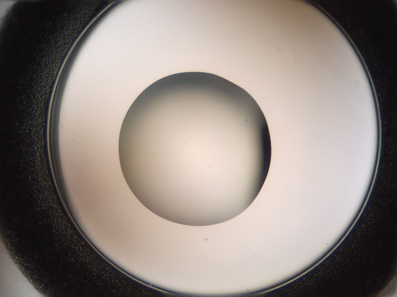 folderID259_plateID2259_batchID10335_wellNum72_profileID1_d2_r157329_ef.jpg